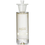 Pour Toujours Bootylicious