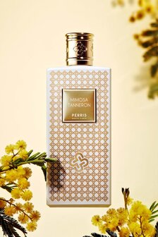 Perris Monte Carlo: Mimosa Tanneron